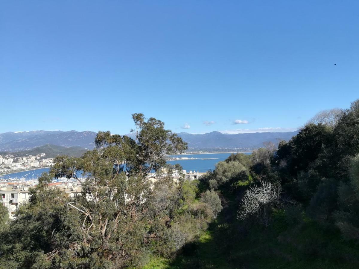 Lumineux Vue Panoramique Appartement Ajaccio (Corsica)